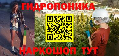 гашик Кимры