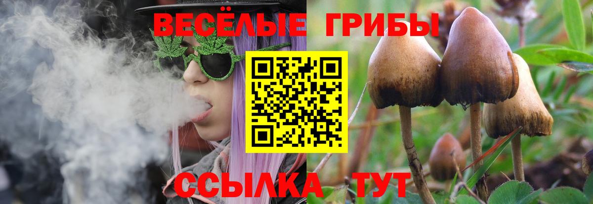 Краснознаменск  закладки  Вход с VPN  Псилоцибиновые грибы прущие грибы 