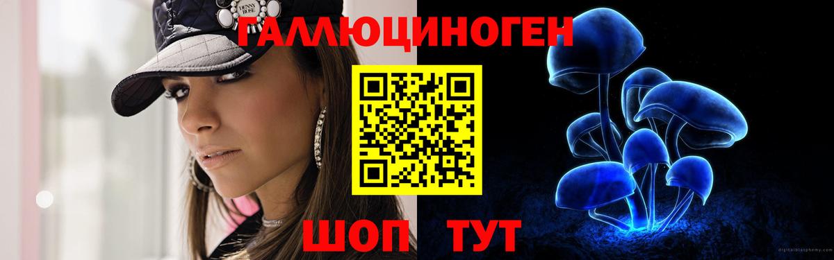Галлюциногенные грибы Psilocybe Краснознаменск